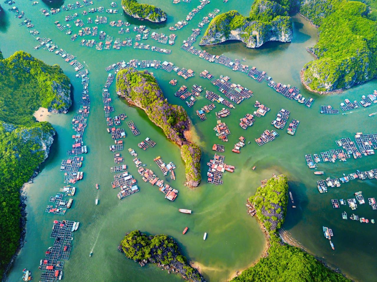 Alibaba'S Hotel Cat Ba Island Exteriér fotografie